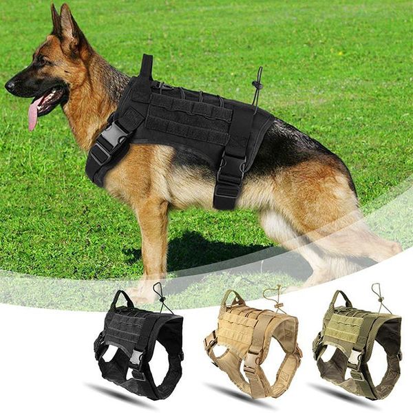 dog collars & leashes military tactical harness working vest nylon bungee leash lead training running for medium large dogs german shepherd
dog collars & leashes military tactical harness working vest nylon bungee leash lead training running for medium large dogs german shepherd