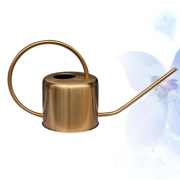 watering equipments 1pc plants can stainless steel long spout succulents kettle gardening tool (golden)
watering equipments 1pc plants can stainless steel long spout succulents kettle gardening tool (golden)