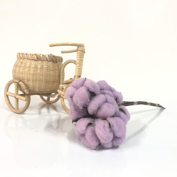 decorative flowers & wreaths naturally dried cotton plants floral branch home wedding christmas party decorations preserved flower pography
decorative flowers & wreaths naturally dried cotton plants floral branch home wedding christmas party decorations preserved flower pography