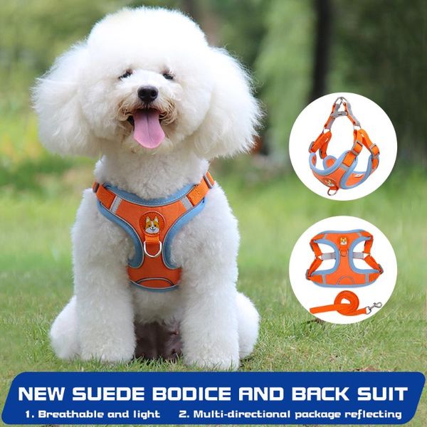 cat collars & leads nylon fleece harness and leash breathable kitten cats harnesses puppy dogs vest adjustable reflective pet
cat collars & leads nylon fleece harness and leash breathable kitten cats harnesses puppy dogs vest adjustable reflective pet