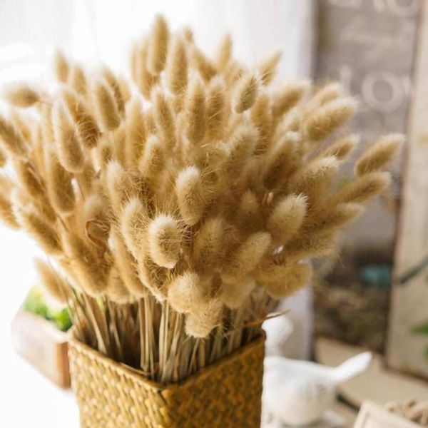 decorative flowers & wreaths dried dog tail grass bouquet rustic style country vase flower arrangement wedding pography props
decorative flowers & wreaths dried dog tail grass bouquet rustic style country vase flower arrangement wedding pography props