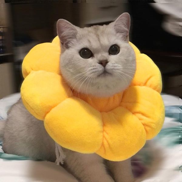 cat collars & leads pet recovery collar elizabeth cone with cute flower shape soft cotton comfortable for supplies
cat collars & leads pet recovery collar elizabeth cone with cute flower shape soft cotton comfortable for supplies