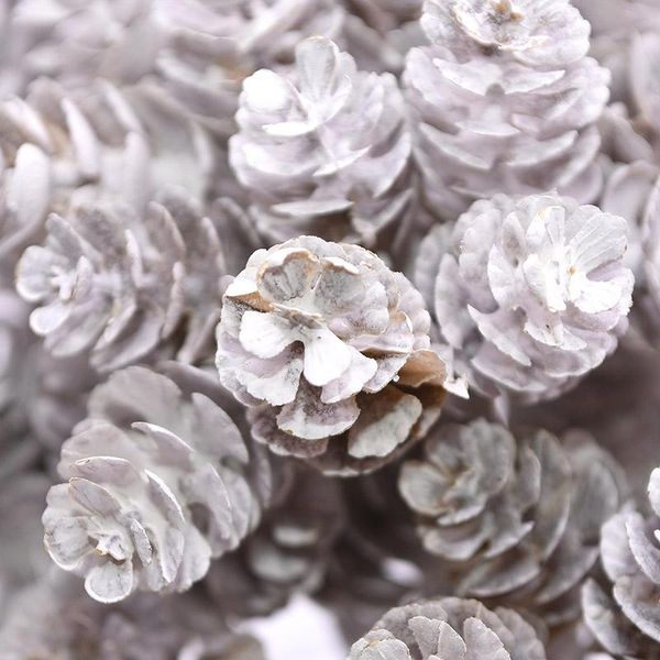 decorative flowers & wreaths 20/50pc artificial flower pineapple grass white pine nuts cone bauble for wedding christmas tree diy craft gift
decorative flowers & wreaths 20/50pc artificial flower pineapple grass white pine nuts cone bauble for wedding christmas tree diy craft gift