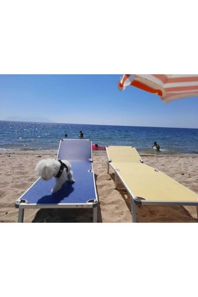camp furniture folding first quality bag can be balcony sea beach sunbed aluminum sturdy portable doesn 't overheat does no bend
camp furniture folding first quality bag can be balcony sea beach sunbed aluminum sturdy portable doesn 't overheat does no bend