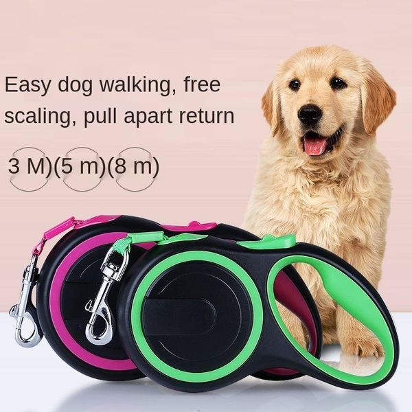 pet dog lead leash for dogs cats nylon walk dog leash selected outdoor security training harness harness
pet dog lead leash for dogs cats nylon walk dog leash selected outdoor security training harness harness