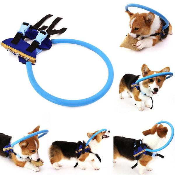 durable blind pet anti-collision ring scorpion cataract animal protection circle guide dog harness for small puppy dogs yorkies
durable blind pet anti-collision ring scorpion cataract animal protection circle guide dog harness for small puppy dogs yorkies