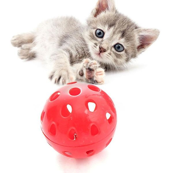 cat toys 1pcs toy interactive plastic hollow kitten ball funny bell jingle chewing accessories
cat toys 1pcs toy interactive plastic hollow kitten ball funny bell jingle chewing accessories