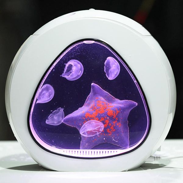 aquariums mini fish tank special for raising jellyfish living scape deskacrylic aquatic pet supplies
aquariums mini fish tank special for raising jellyfish living scape deskacrylic aquatic pet supplies