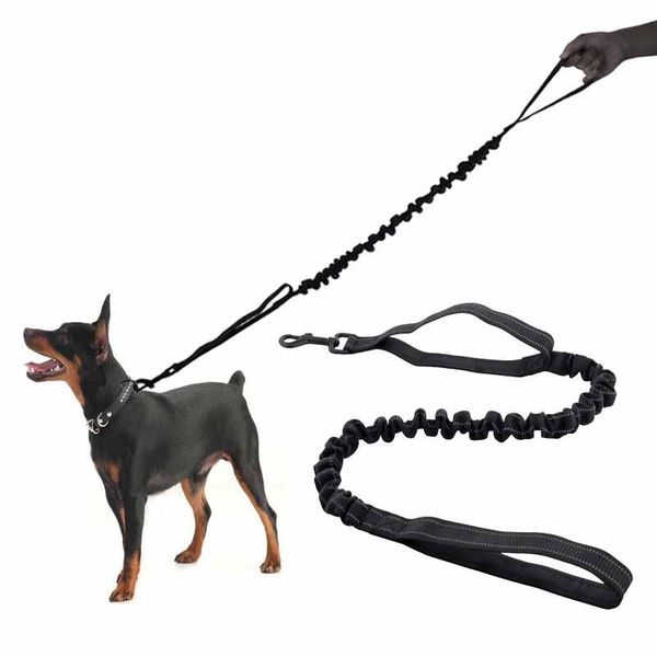 dog collars & leashes reflective pets collar leash 150cm adjustable training elasticity leads rope for pet traction strap
dog collars & leashes reflective pets collar leash 150cm adjustable training elasticity leads rope for pet traction strap