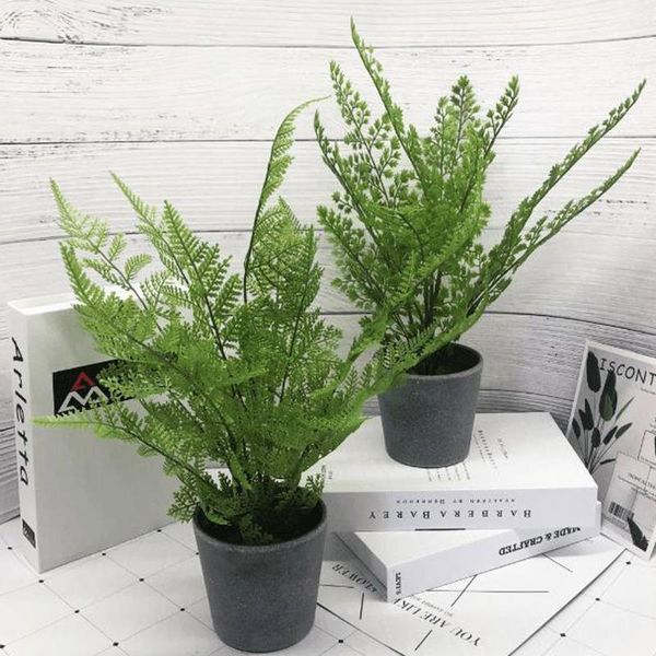 decorative flowers & wreaths artificial flower simulation green plants pot home decoration garden yard bonsai fern
decorative flowers & wreaths artificial flower simulation green plants pot home decoration garden yard bonsai fern
