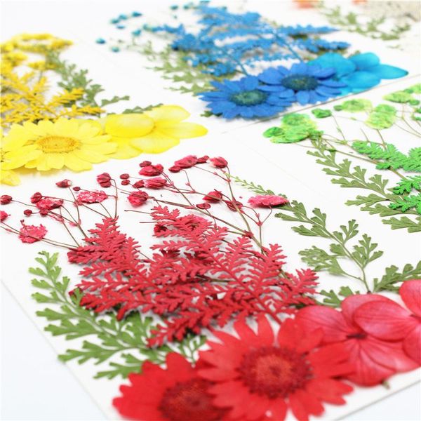1 pack small real dried flower plants for candle uv epoxy resin filling natural preserved flower stickers scrapbooking diy craft
1 pack small real dried flower plants for candle uv epoxy resin filling natural preserved flower stickers scrapbooking diy craft