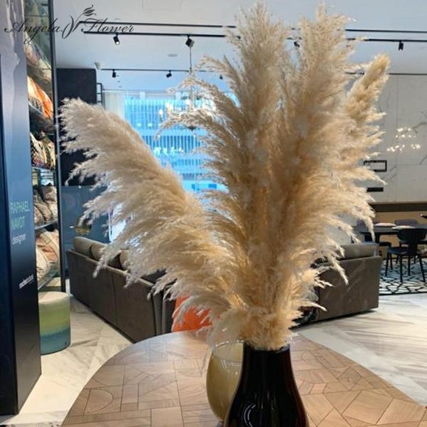 20 pcs reed dried flower pink pampas grass plants artificial flower wholesalers wedding floor decor arrangement materials
20 pcs reed dried flower pink pampas grass plants artificial flower wholesalers wedding floor decor arrangement materials