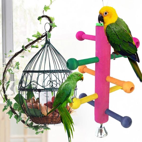 other bird supplies 1 pc cage climbing parrot perch stand play fun toys wooden rotate ladder
other bird supplies 1 pc cage climbing parrot perch stand play fun toys wooden rotate ladder