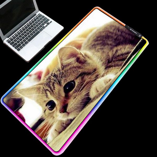mouse pads & wrist rests mairuige cute pet cat led color lighting rgb speed skating large gaming pad thickened waterproof and durable table
mouse pads & wrist rests mairuige cute pet cat led color lighting rgb speed skating large gaming pad thickened waterproof and durable table