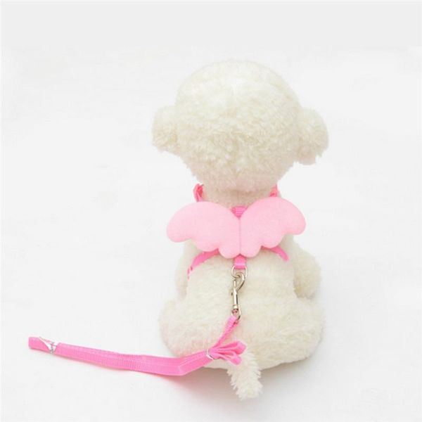 dog collars & leashes drop cute angel pet leads and set for small designer wing adjustable
dog collars & leashes drop cute angel pet leads and set for small designer wing adjustable