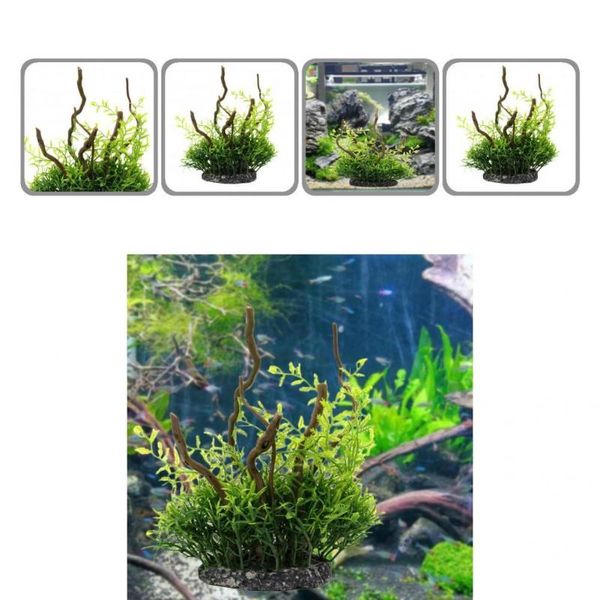 decorations underwater mini fish shrimps potted plant decoration aquarium accessories
decorations underwater mini fish shrimps potted plant decoration aquarium accessories