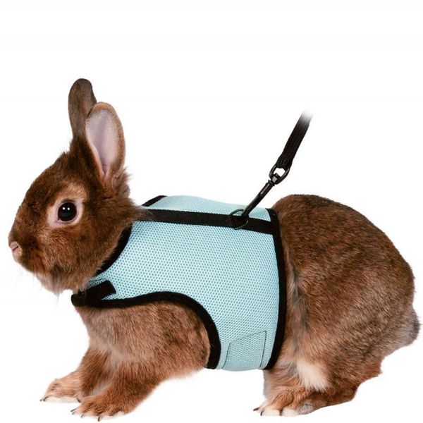 little pet rabbit clothing traction rope squirrel hamster guinea pig snow leopard dutch vt type cht strap walking
little pet rabbit clothing traction rope squirrel hamster guinea pig snow leopard dutch vt type cht strap walking