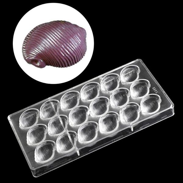baking & pastry tools 3d conch shape clear hard polycarbonate chocolate mold diy kitchen candy cake tool
baking & pastry tools 3d conch shape clear hard polycarbonate chocolate mold diy kitchen candy cake tool
