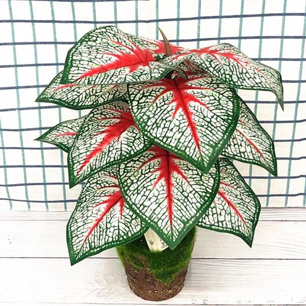 46cm 40cm artificial banyan plants branch tropical plastic palm tree indoor fake potted l office garden christmas home decor
46cm 40cm artificial banyan plants branch tropical plastic palm tree indoor fake potted l office garden christmas home decor