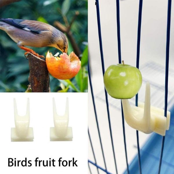 other bird supplies 15pcs parrot swing toys colorful beads creative relieve boredom stand chewing toy
other bird supplies 15pcs parrot swing toys colorful beads creative relieve boredom stand chewing toy
