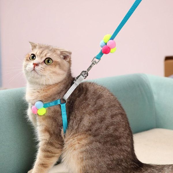 cat collars & leads pet dog leash harness vest comfortable padded handle 1.3m with mesh for small medium
cat collars & leads pet dog leash harness vest comfortable padded handle 1.3m with mesh for small medium