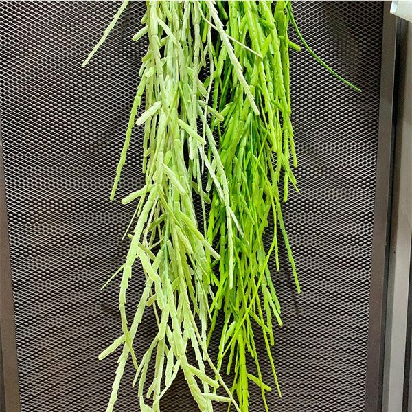 decorative flowers & wreaths 105cm artificial realistic crab claw vine green plastic wall hanging rattan tropical plant home garden el shop
decorative flowers & wreaths 105cm artificial realistic crab claw vine green plastic wall hanging rattan tropical plant home garden el shop