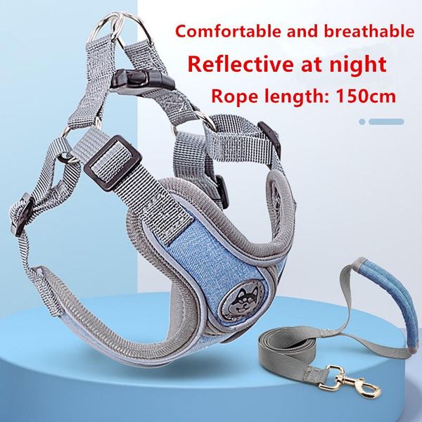 2021 dog harness with leash pet adjustable reflective vest walking lead for puppy polyester mesh harness for small medium dog
2021 dog harness with leash pet adjustable reflective vest walking lead for puppy polyester mesh harness for small medium dog