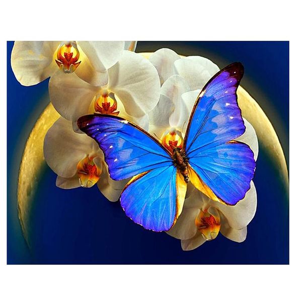 diamond painting cross stitch butterfly full square & round diamond,diy,diamond embroidery ,5d,diamond mosaic decor gift
diamond painting cross stitch butterfly full square & round diamond,diy,diamond embroidery ,5d,diamond mosaic decor gift