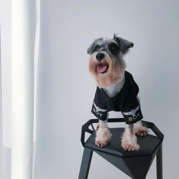 dog apparel clothes winter warm pet jacket coat puppy chihuahua clothing hoodies for small medium dogs
dog apparel clothes winter warm pet jacket coat puppy chihuahua clothing hoodies for small medium dogs