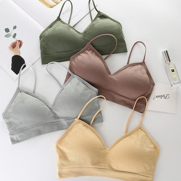 bras pushup bra wireless sports seamless bralette women padded breast wrap stripped fashion underwear wholesale girls, Red;black
bras pushup bra wireless sports seamless bralette women padded breast wrap stripped fashion underwear wholesale girls, Red;black
