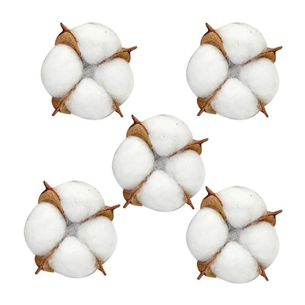 5pcs/set natural dried flower cotton head dried flower diy decor for wedding head single home artificial supplies wr u7k6
5pcs/set natural dried flower cotton head dried flower diy decor for wedding head single home artificial supplies wr u7k6