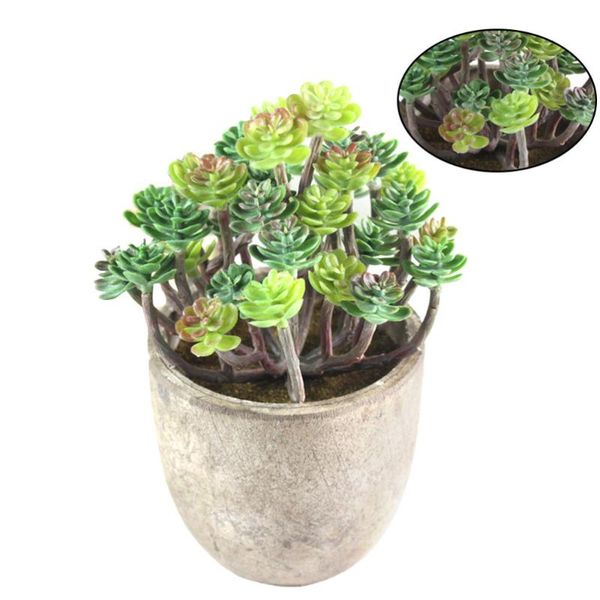 home vintage artificial succulent plant ornament office deskfake encrinus plant decors (dark color)
home vintage artificial succulent plant ornament office deskfake encrinus plant decors (dark color)