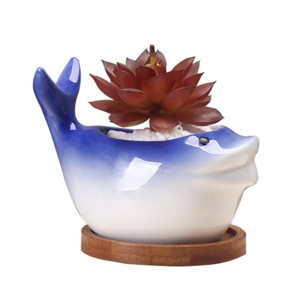 vases mini flowerpot planters creativity cute dark blue toucan whale cacti ceramics home gardening decoration floral ornaments
vases mini flowerpot planters creativity cute dark blue toucan whale cacti ceramics home gardening decoration floral ornaments