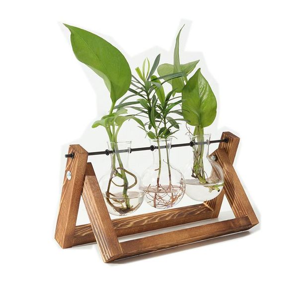 vases hydroponic plant vintage flower pot transparent vase wooden frame glass tableplants home bonsai decor
vases hydroponic plant vintage flower pot transparent vase wooden frame glass tableplants home bonsai decor