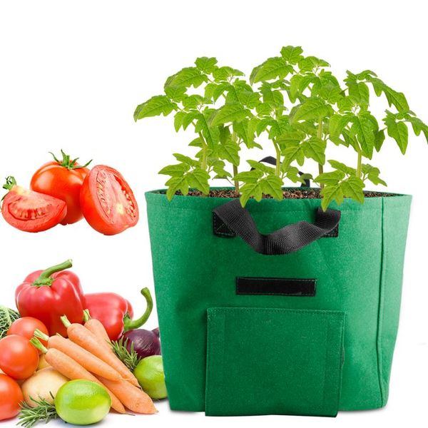 15 gallon grow bags heavy duty thickened nonwoven plant fabric pots with handles felt texture promote air root pruning
15 gallon grow bags heavy duty thickened nonwoven plant fabric pots with handles felt texture promote air root pruning