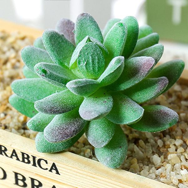decorative flowers & wreaths 1pc artificial bonsai simulation succulent plant wedding party fake plants home living room pot
decorative flowers & wreaths 1pc artificial bonsai simulation succulent plant wedding party fake plants home living room pot