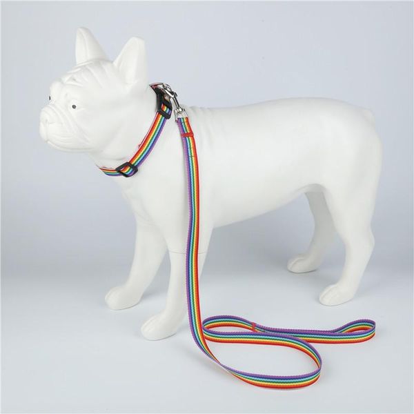 pet supplies collar subminiature dog necklace standard schnauzer outdoor haulage cable pomeranian nylon traction belt opp c243
pet supplies collar subminiature dog necklace standard schnauzer outdoor haulage cable pomeranian nylon traction belt opp c243