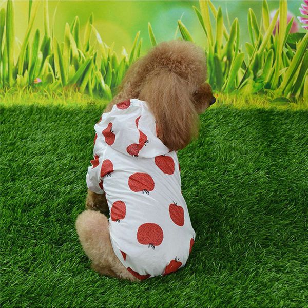 pet summer sun protection teddy vip bomei breathable home dog clothing
pet summer sun protection teddy vip bomei breathable home dog clothing
