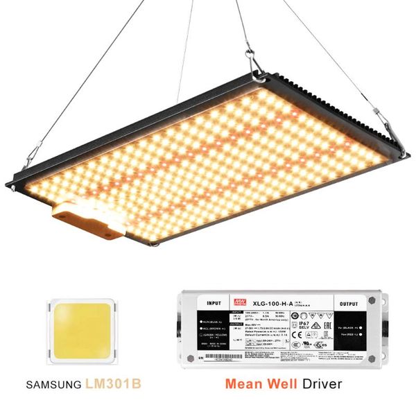 dimmable samsung quantum led board full spectrum led grow light 1000w with lm301b 3000k and 660nm red
dimmable samsung quantum led board full spectrum led grow light 1000w with lm301b 3000k and 660nm red