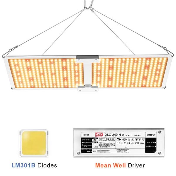 qb2000w led grow light samsung lm301b diodes & meanwell driver dimmable full spectrum for indoor plants quantum board light 240w
qb2000w led grow light samsung lm301b diodes & meanwell driver dimmable full spectrum for indoor plants quantum board light 240w