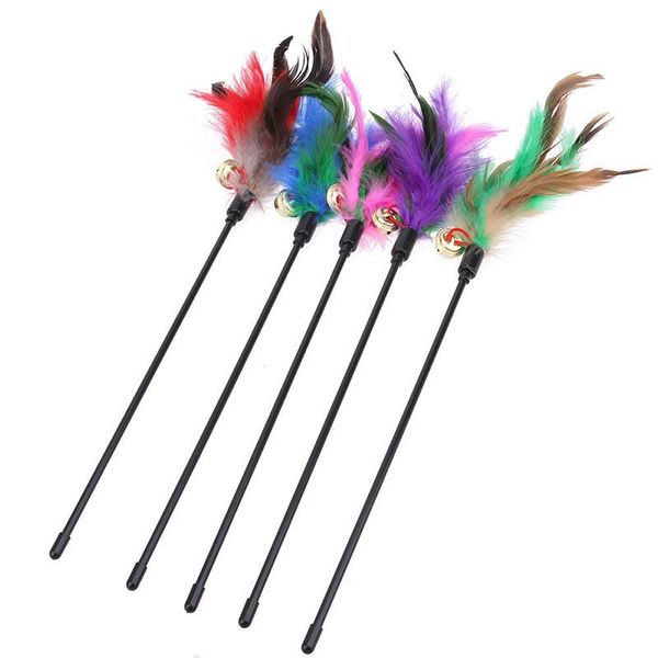 cat toys 60cm toy funny stick with small bell feathers playing rod pet product random color thin889
cat toys 60cm toy funny stick with small bell feathers playing rod pet product random color thin889