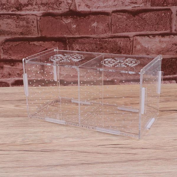 aquariums transparent acrylic fish tank breeding isolation box aquarium incubator hatching boxes multifunctional holder
aquariums transparent acrylic fish tank breeding isolation box aquarium incubator hatching boxes multifunctional holder