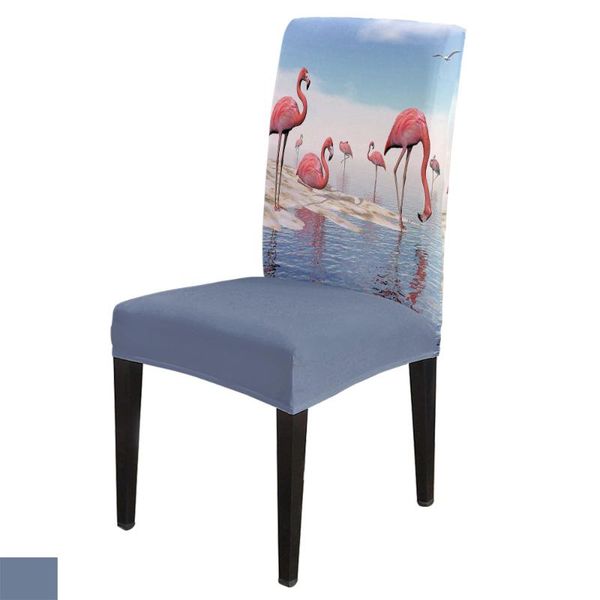 chair covers beach flamingo spandex elastic dining slipcover removable kitchen seat case stretch cover for banquet
chair covers beach flamingo spandex elastic dining slipcover removable kitchen seat case stretch cover for banquet