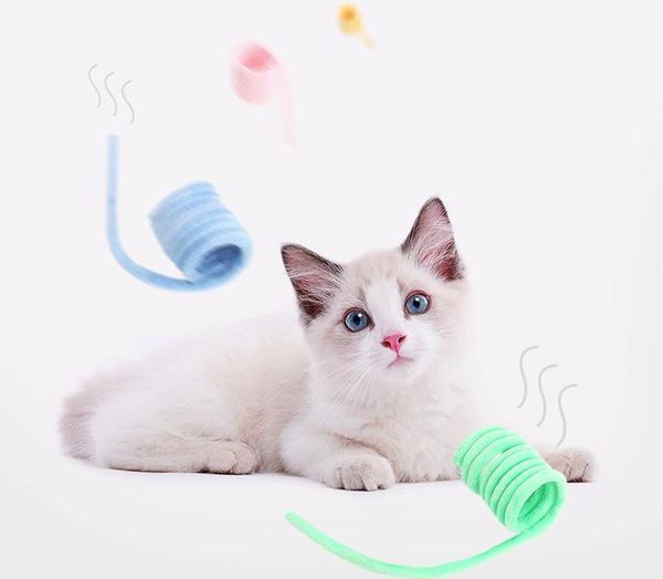 cat toys pet products plush spring shape soft short built-in mint accessories for kitten teeth grinding thumb
cat toys pet products plush spring shape soft short built-in mint accessories for kitten teeth grinding thumb