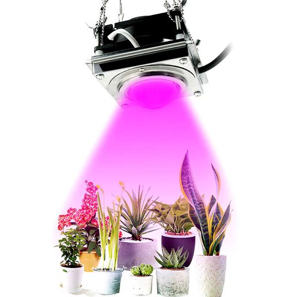 high luminous efficiency led grow light 110v 220v full spectrum growth lamp for indoor hydroponic greenhouse
high luminous efficiency led grow light 110v 220v full spectrum growth lamp for indoor hydroponic greenhouse