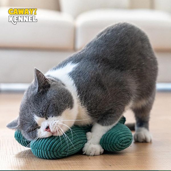cat toys cawayi kennel cactus pillow funny pet puppy chew for dogs zabawki dla psa juguete perro honden speelgoed d1991
cat toys cawayi kennel cactus pillow funny pet puppy chew for dogs zabawki dla psa juguete perro honden speelgoed d1991