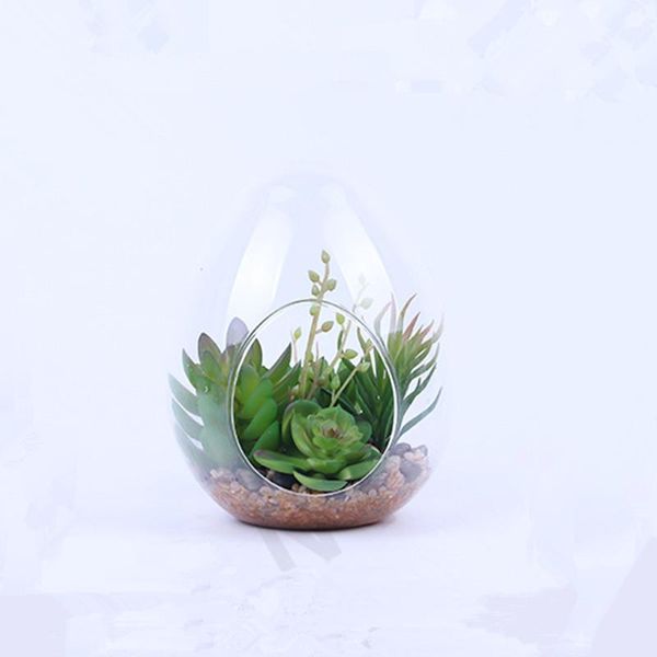 candle holders 10*15cm egg shaped glass terrarium vase home decoration diameter=10cm height=15cm holder handmade lamp blown
candle holders 10*15cm egg shaped glass terrarium vase home decoration diameter=10cm height=15cm holder handmade lamp blown
