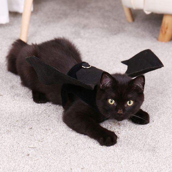 2021 new vampire bat wings cat black clother fancy up christmas day gifts halloween 7fsu