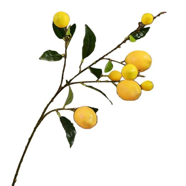 decorative flowers & wreaths artificial branch lifelike faux fruit decor for household party office plants accessories
decorative flowers & wreaths artificial branch lifelike faux fruit decor for household party office plants accessories