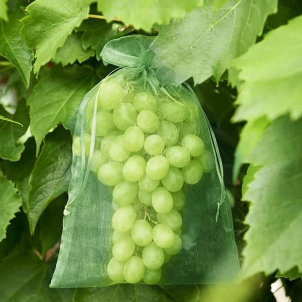 planters & pots 50pc garden vegetable fruit grow bag plants grape protection hard gauze anti bird drawstring netting mesh pouch pest control
planters & pots 50pc garden vegetable fruit grow bag plants grape protection hard gauze anti bird drawstring netting mesh pouch pest control